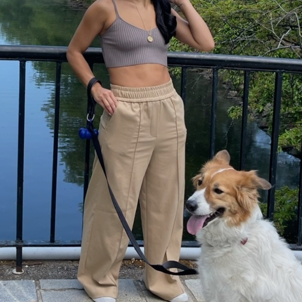Zara Beige Elastic-Waist Wide Leg Trousers